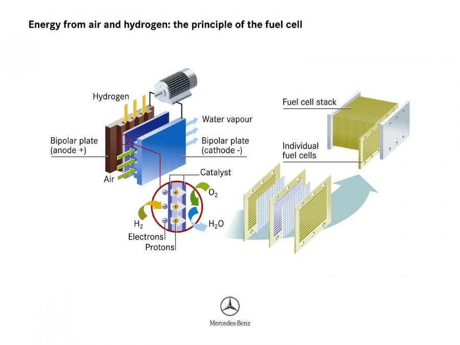  Mercedes-Benz F600 HyGenius Concept 2005 года  (фото 28 из 112)